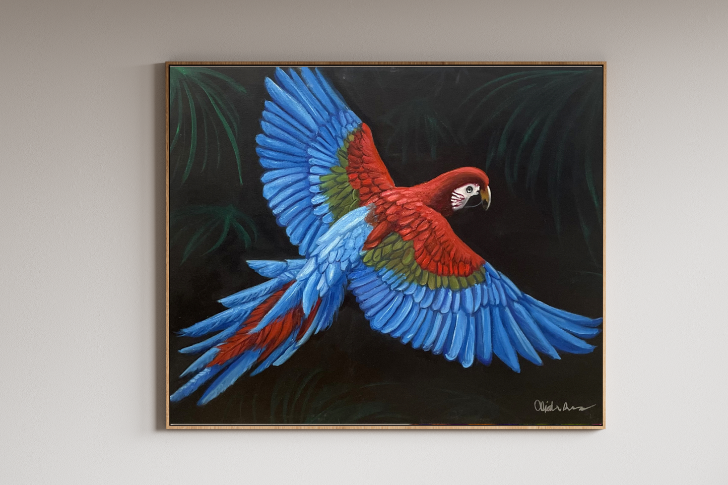 Red Parrot