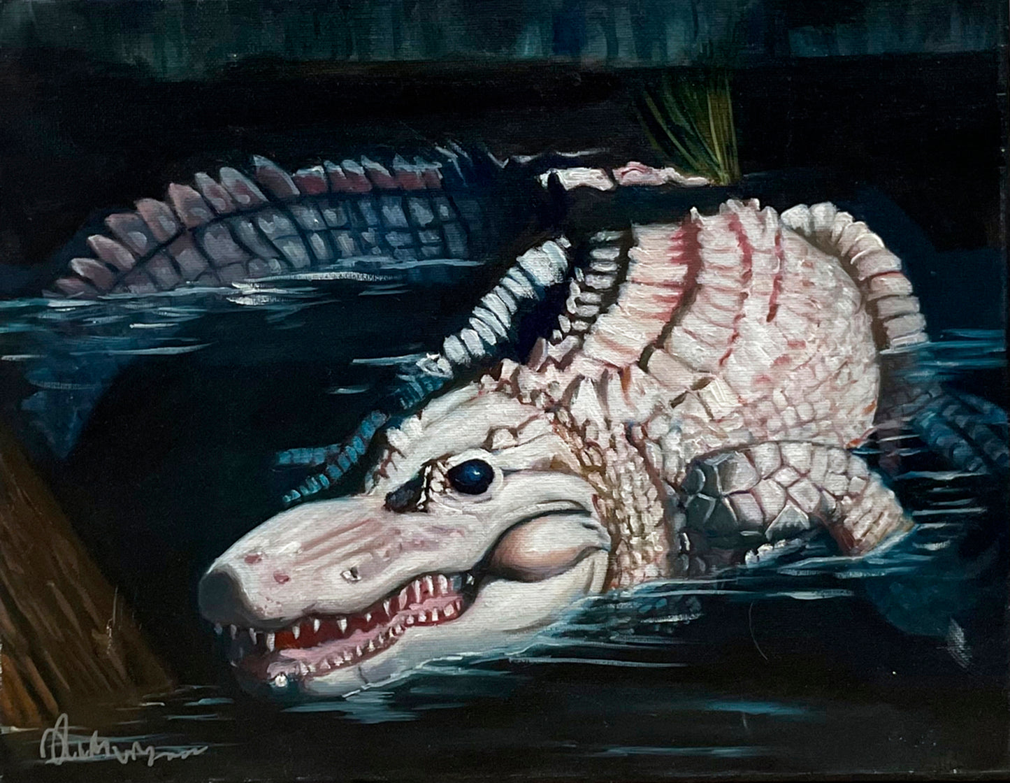 Albino Gator
