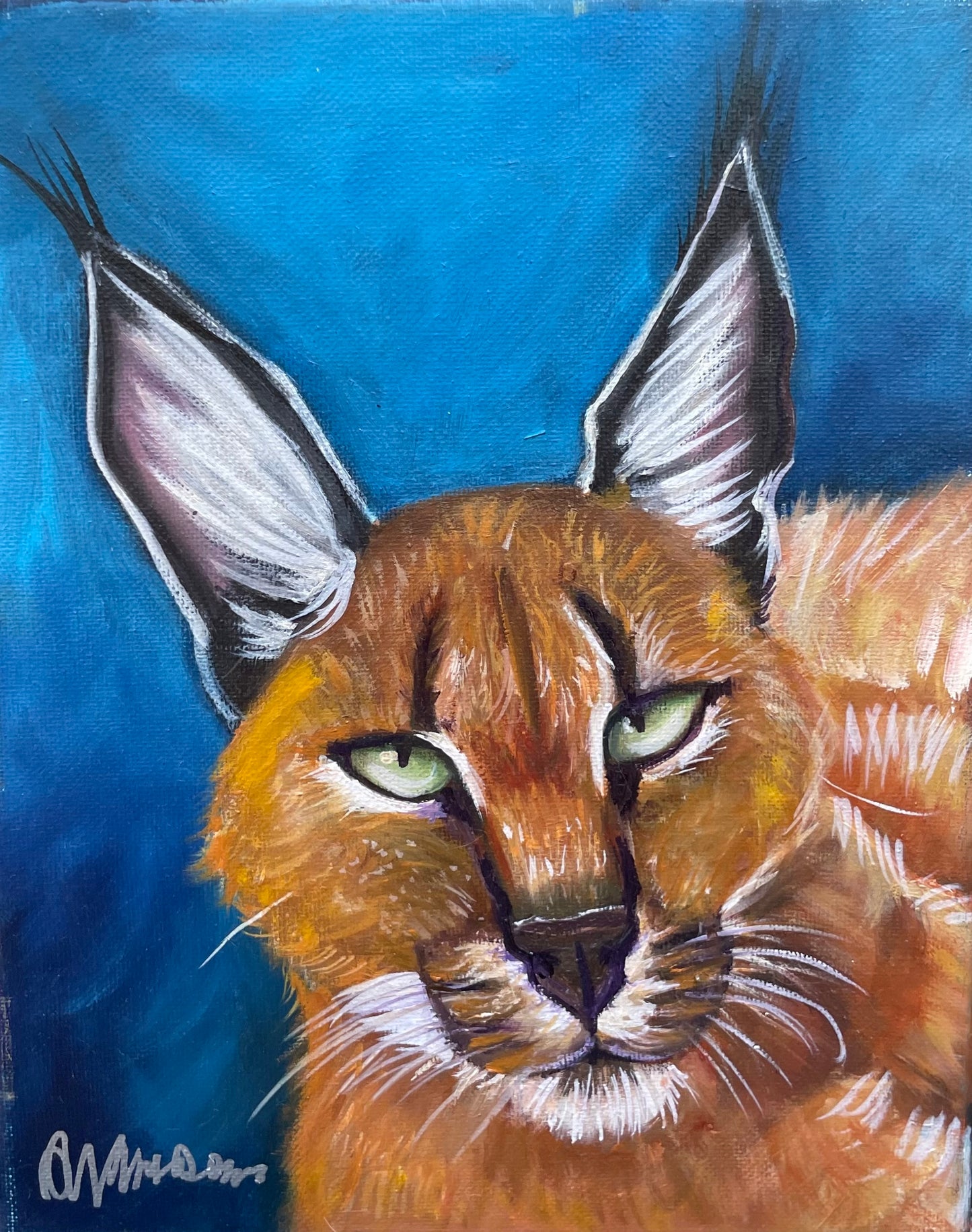 Caracal Cat