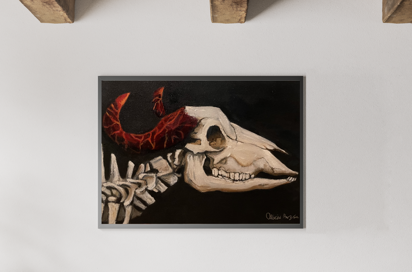 Bull Skull