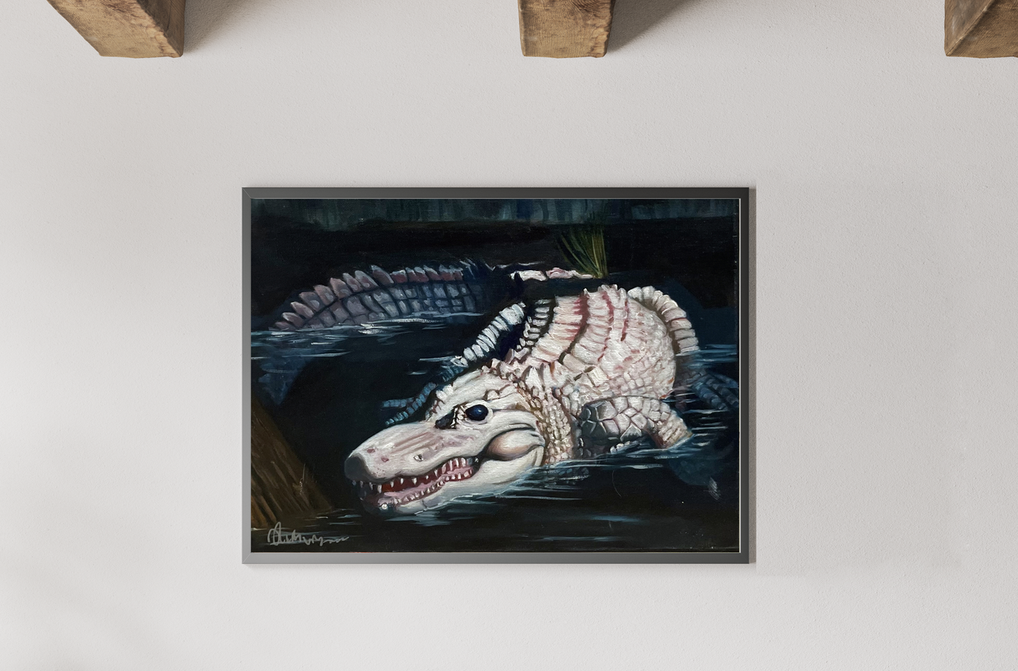 Albino Gator